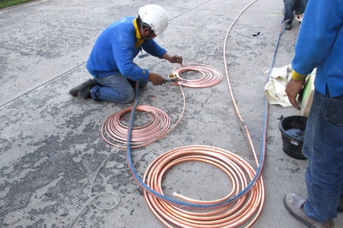 Bangkok Coil-9